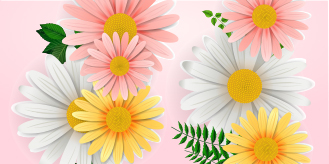 Crediper #SPRING